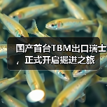 国产首台TBM出口瑞士，正式开启掘进之旅（图1）