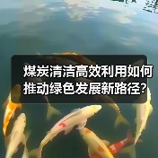 煤炭清洁高效利用如何推动绿色发展新路径？（图3）