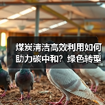 煤炭清洁高效利用如何助力碳中和？绿色转型路线图揭晓（图1）