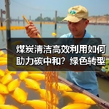 煤炭清洁高效利用如何助力碳中和？绿色转型路线图揭晓（图3）