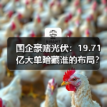 国企豪赌光伏:19.71亿大单暗藏谁的布局?(图1) 国企豪赌光伏:19.71亿大单暗藏谁的布局?(图1)