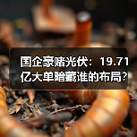 国企豪赌光伏:19.71亿大单暗藏谁的布局?(图4) 国企豪赌光伏:19.71亿大单暗藏谁的布局?(图4)
