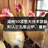 湖南50项重大技术装备拟认定名单出炉，首批产品有哪些？（图3）