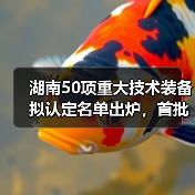 湖南50项重大技术装备拟认定名单出炉，首批产品有哪些？（图4）