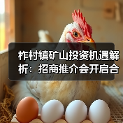 柞村镇矿山投资机遇解析：招商推介会开启合作新篇章（图4）