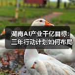 湖南AI产业千亿目标：三年行动计划如何布局？（图4）
