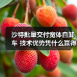 沙特批量交付宽体自卸车 技术优势凭什么赢得海外订单?(图2) 沙特批量交付宽体自卸车 技术优势凭什么赢得海外订单?(图2)