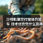 沙特批量交付宽体自卸车 技术优势凭什么赢得海外订单?(图3) 沙特批量交付宽体自卸车 技术优势凭什么赢得海外订单?(图3)