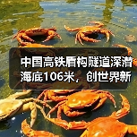 中国高铁盾构隧道深潜海底106米,创世界新纪录(图2) 中国高铁盾构隧道深潜海底106米,创世界新纪录(图2)