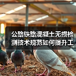 公路铁路混凝土无损检测技术规范如何提升工程质量？（图1）