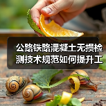 公路铁路混凝土无损检测技术规范如何提升工程质量？（图3）