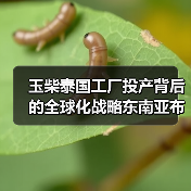 玉柴泰国工厂投产背后的全球化战略东南亚布局（图1）