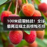 100米极限挑战！全球最高混凝土面板堆石坝如何实现智能高效建造？（图2）