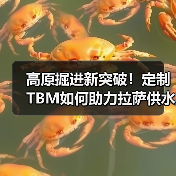 高原掘进新突破!定制TBM如何助力拉萨供水工程(图3) 高原掘进新突破!定制TBM如何助力拉萨供水工程(图3)