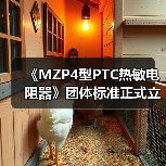 《MZP4型PTC热敏电阻器》团体标准正式立项,行业规范升级(图1) 《MZP4型PTC热敏电阻器》团体标准正式立项,行业规范升级(图1)