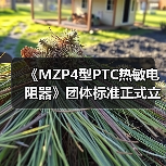 《MZP4型PTC热敏电阻器》团体标准正式立项,行业规范升级(图2) 《MZP4型PTC热敏电阻器》团体标准正式立项,行业规范升级(图2)
