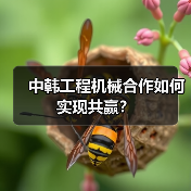 中韩工程机械合作如何实现共赢？（图4）