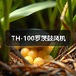 TH-100罗茨鼓风机(图3) TH-100罗茨鼓风机(图3)