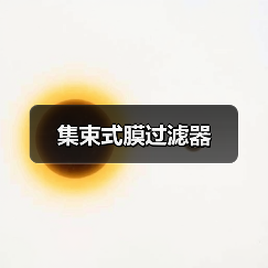 集束式膜过滤器（图1）