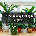 ZTST真空同心轴高低速分散机(图2) ZTST真空同心轴高低速分散机(图2)
