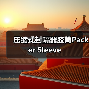 压缩式封隔器胶筒Packer Sleeve（图1）