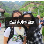 高效脉冲除尘器(图1) 高效脉冲除尘器(图1)