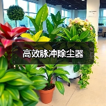 高效脉冲除尘器(图2) 高效脉冲除尘器(图2)