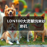 LDN100大流量纳米砂磨机（图1）