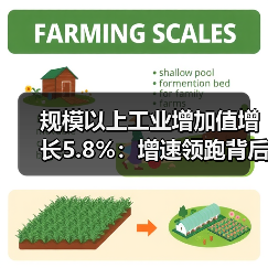 规模以上工业增加值增长5.8%:增速领跑背后的产业动能(图2) 规模以上工业增加值增长5.8%:增速领跑背后的产业动能(图2)