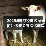 2025年5月经济数据如何?这些关键指标值得关注(图2) 2025年5月经济数据如何?这些关键指标值得关注(图2)