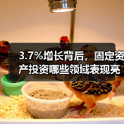3.7%增长背后,固定资产投资哪些领域表现亮眼?(图1) 3.7%增长背后,固定资产投资哪些领域表现亮眼?(图1)