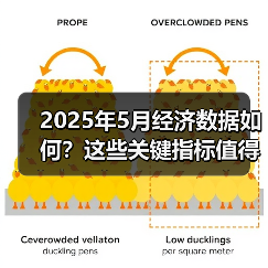2025年5月经济数据如何?这些关键指标值得关注(图3) 2025年5月经济数据如何?这些关键指标值得关注(图3)