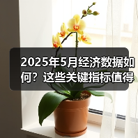 2025年5月经济数据如何?这些关键指标值得关注(图4) 2025年5月经济数据如何?这些关键指标值得关注(图4)