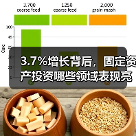 3.7%增长背后,固定资产投资哪些领域表现亮眼?(图4) 3.7%增长背后,固定资产投资哪些领域表现亮眼?(图4)