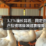 3.7%增长背后,固定资产投资哪些领域表现亮眼?(图3) 3.7%增长背后,固定资产投资哪些领域表现亮眼?(图3)