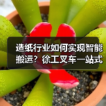 造纸行业如何实现智能搬运?徐工叉车一站式解决方案解析(图2) 造纸行业如何实现智能搬运?徐工叉车一站式解决方案解析(图2)