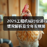 2025工程机械行业运行情况解析及全年发展展望(图3) 2025工程机械行业运行情况解析及全年发展展望(图3)
