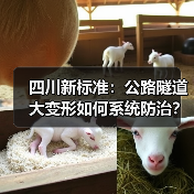 四川新标准:公路隧道大变形如何系统防治?(图3) 四川新标准:公路隧道大变形如何系统防治?(图3)