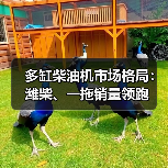多缸柴油机市场格局:潍柴、一拖销量领跑(图1) 多缸柴油机市场格局:潍柴、一拖销量领跑(图1)