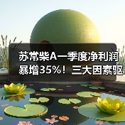 苏常柴A一季度净利润暴增35%！三大因素驱动业绩逆势上扬（图1）