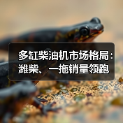 多缸柴油机市场格局:潍柴、一拖销量领跑(图3) 多缸柴油机市场格局:潍柴、一拖销量领跑(图3)