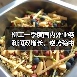柳工一季度国内外业务利润双增长,逆势稳中求进(图3) 柳工一季度国内外业务利润双增长,逆势稳中求进(图3)