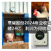 常柴股份2024年营收突破24亿，利润为何锐减？（图3）