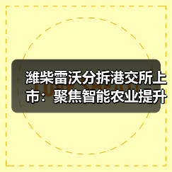 潍柴雷沃分拆港交所上市：聚焦智能农业提升竞争力？（图4）