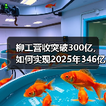 柳工营收突破300亿，如何实现2025年346亿目标？（图2）
