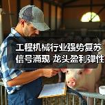 工程机械行业强势复苏信号涌现 龙头盈利弹性凸显(图1) 工程机械行业强势复苏信号涌现 龙头盈利弹性凸显(图1)