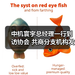 中机寰宇总经理一行到访协会 共商分支机构发展与合作(图3) 中机寰宇总经理一行到访协会 共商分支机构发展与合作(图3)
