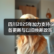 四川2025年加力支持设备更新与以旧换新政策解读（图2）