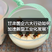 甘肃国企六大行动如何加速新型工业化发展?(图3) 甘肃国企六大行动如何加速新型工业化发展?(图3)