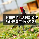 甘肃国企六大行动如何加速新型工业化发展?(图4) 甘肃国企六大行动如何加速新型工业化发展?(图4)
